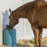 Drinkbakken en watervoorziening