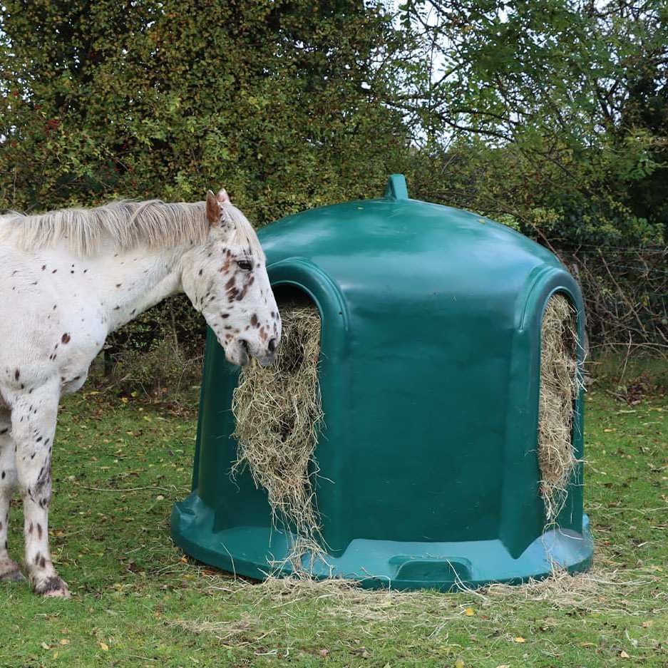 Je oude paard voeren is maatwerk! - Bit & Cap