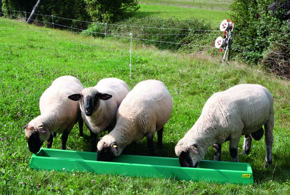 Blijven Rusteloosheid Menda City Voertrog kalveren / schapen 2 mtr | Landbouwwinkel.nl, dé agrarische webshop