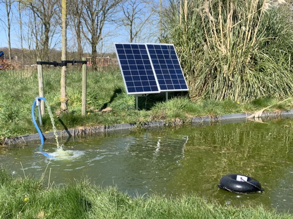 Beoordeling hemel Leger Solar vijverpomp met 2 x 115 Watt zonnepanelen. Vijverpomp op  zonne-energie. Solar vijverpomp 2 x 115 Watt. | Landbouwwinkel.nl, dé  agrarische webshop