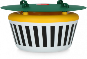 Black Stripe Mottenval 