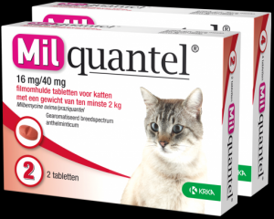 Milquantel 16 mg/40 mg Kat Groot 4 tabl. >2kg