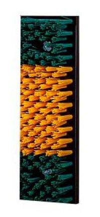 Brush (qty 1) 45 x 15 cm, for spring-loaded calf brush with protective basket