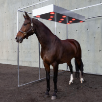 Solarium voor paarden met ventilator