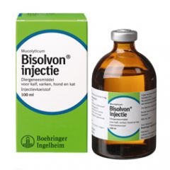 Bisolvon injectie 100 ml