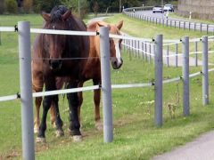 Kunststof weidepalen 10 cm, 33 stuks, GRIJS, rond met spits