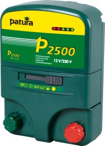 P2500 multifunctioneel apparaat 230V/12V  