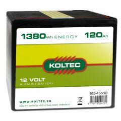 Batterij 12 Volt - 1380 Wh 120 Ah, alkaline