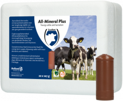 Excellent All-Mineral Plus 20 st