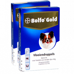 Bolfo Gold 40 hond (&lt;4 kg) - 2 pip