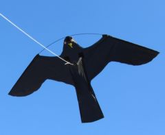 Birdshield Vlieger