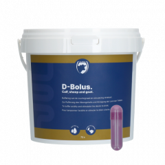 Excellent D-Bolus (Bicarbonaat) 72 stuks