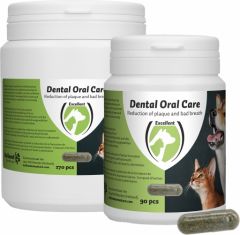 Dental Oral Care Hond