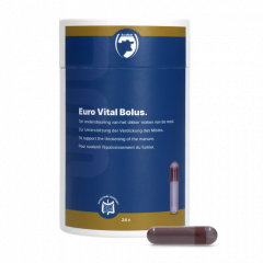 Excellent Euro-Vital Bolus 24 x 10 g