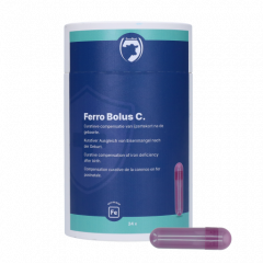 Excellent Ferro Bolus C 24 x 9,5 g