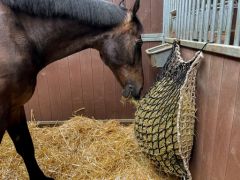 Hay Slowfeeder net 10 kg (5 mm dik, maaswijdte 60/45 mm)