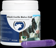 Excellent Black Garlic Bolus Kalf