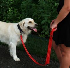 KONG Adjustable leash M Black