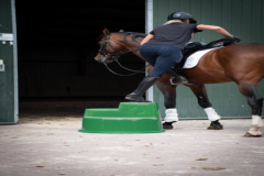 Excellent opstaphulp 3 trede roze