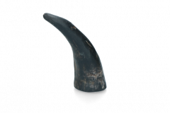 Viking whole Horn L