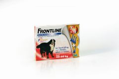 Frontline hond XL >40 kg 4 pipetten
