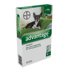 Advantage 40 hond