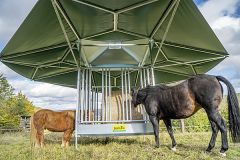 Schaduwdak voor paarden voerruif