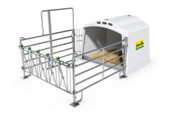 Groepskalverhut XL met profi-omheining
