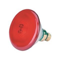 Warmtelamp 175w. rood