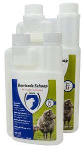 Barricade schaap