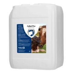Calbal Plus