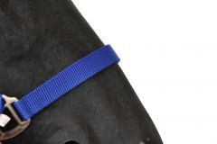 Halster Classic blauw foal