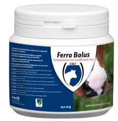 Ferro Bolus