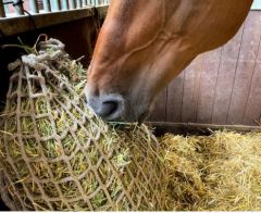 Hay Slowfeeder net 2,5 kg (5 mm dik, maaswijdte 45 mm)