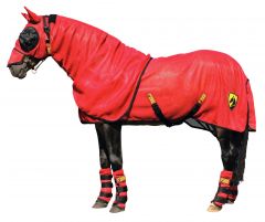Horse Armor knockdown sheet M 175 cm (Insect shield)