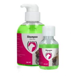 shampoo aloe vera dog