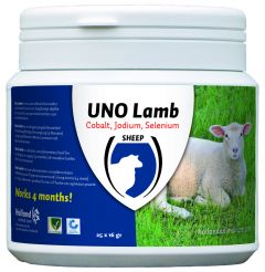 UNO Lamb
