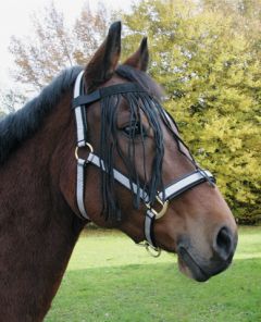 Vliegenfrontriem Paard Pony