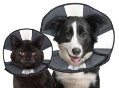 Zencone soft Recovery Collar Small