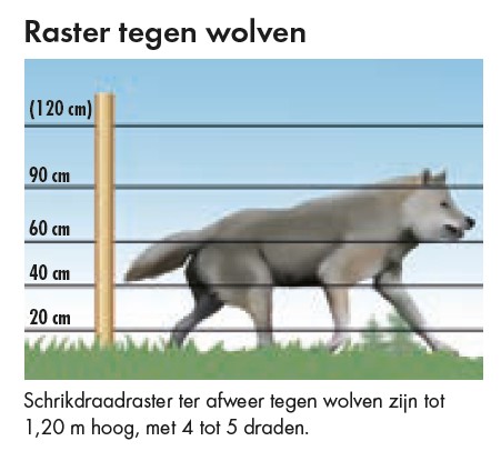 Draadhoogtes schrikdraad wolf