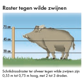 Draadhoogtes afrastering wilde zwijnen