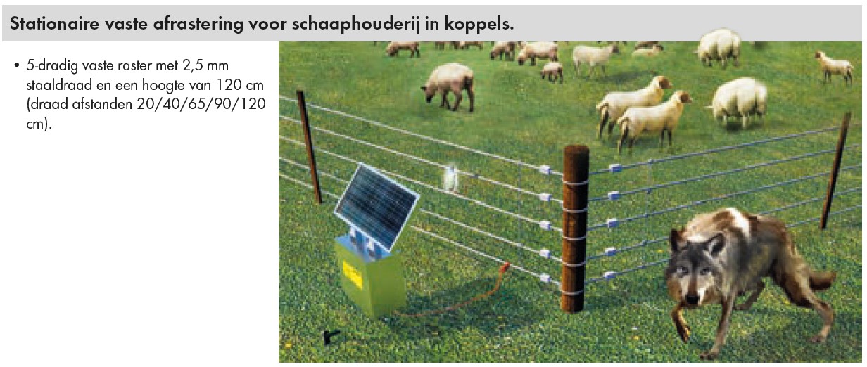 Vast raster tegen wolven